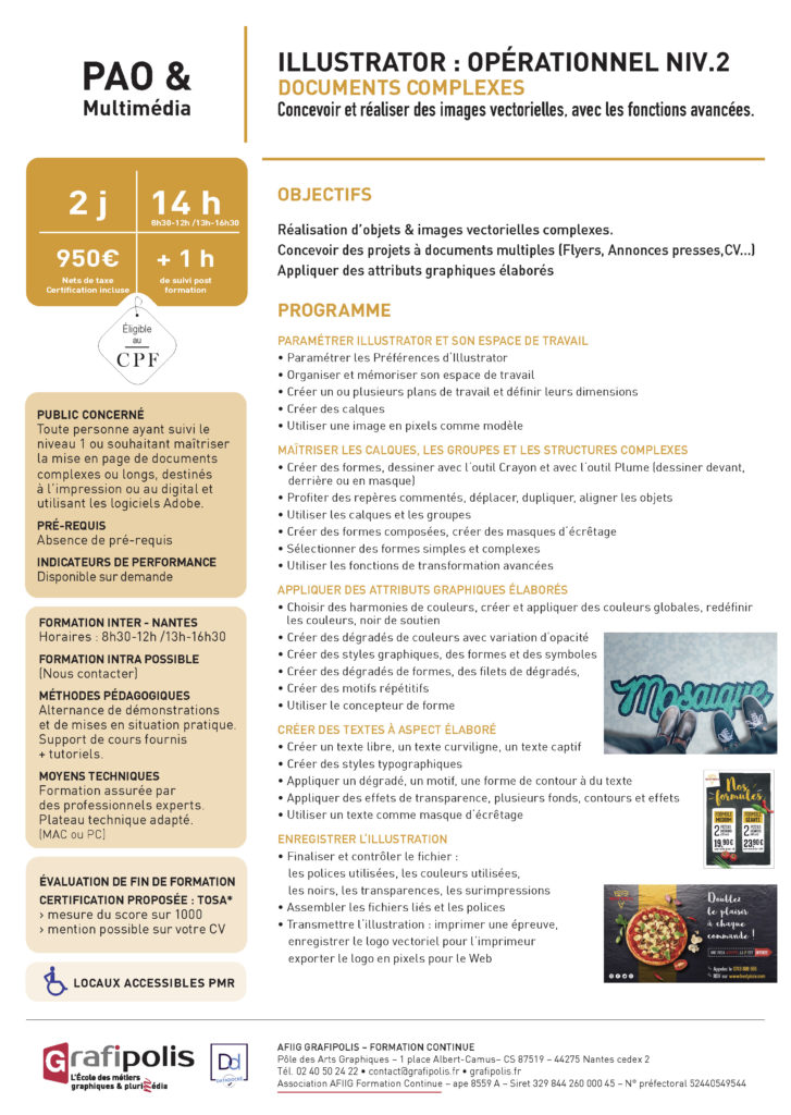 Illustrator programme de formation niveau 2